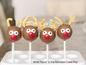 Read more about the article What Flavor Is The Reindeer Cake Pop? || Reindeer Cake Pop Full Guide