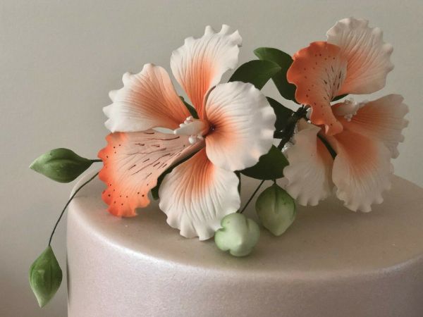 Hibiscus birthday cake || flower birthday cake