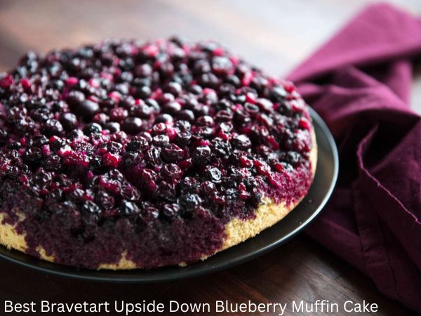 Best Bravetart Upside Down Blueberry Muffin Cake