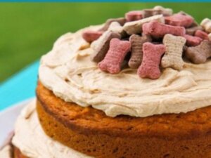 Read more about the article Spoiled Dog Cake Recipe || Delicious