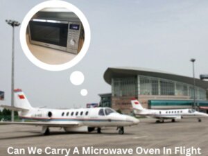 Read more about the article Can We Carry A Microwave Oven In Flight?