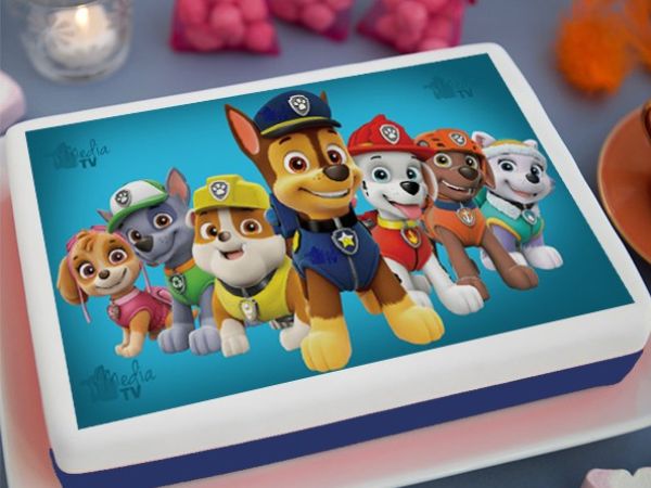 Paw Print Cake | Paw Patrol Cake